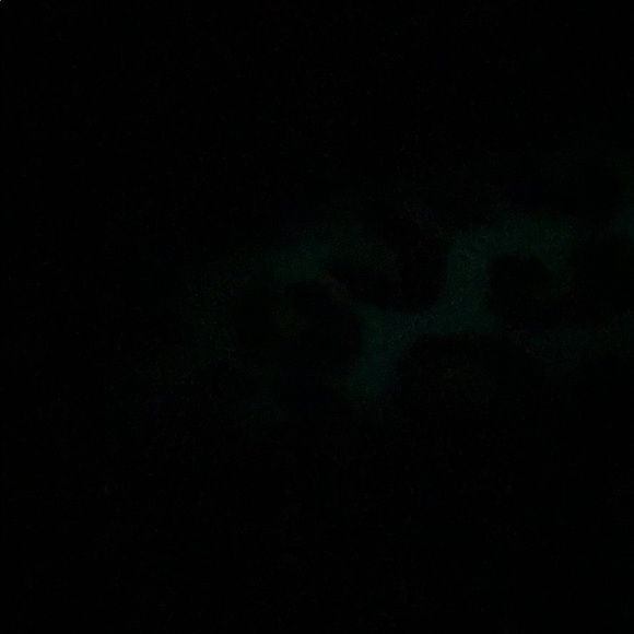 Meet your Posher, Chloe - Picture 1 of 1